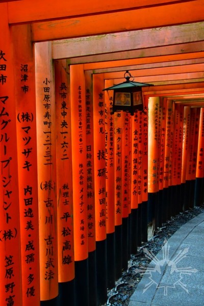 Fushimi Inari Torii Gates