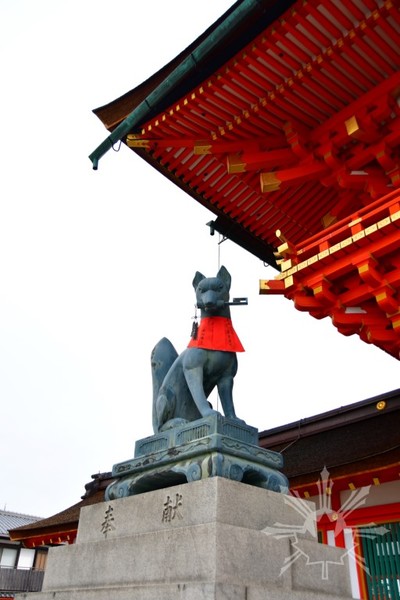 Kitsune at Fushimi Inari Taisha